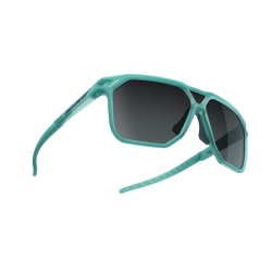 Okuliare DYNAFIT Traverse Sunglasses puritan grey/blueberry